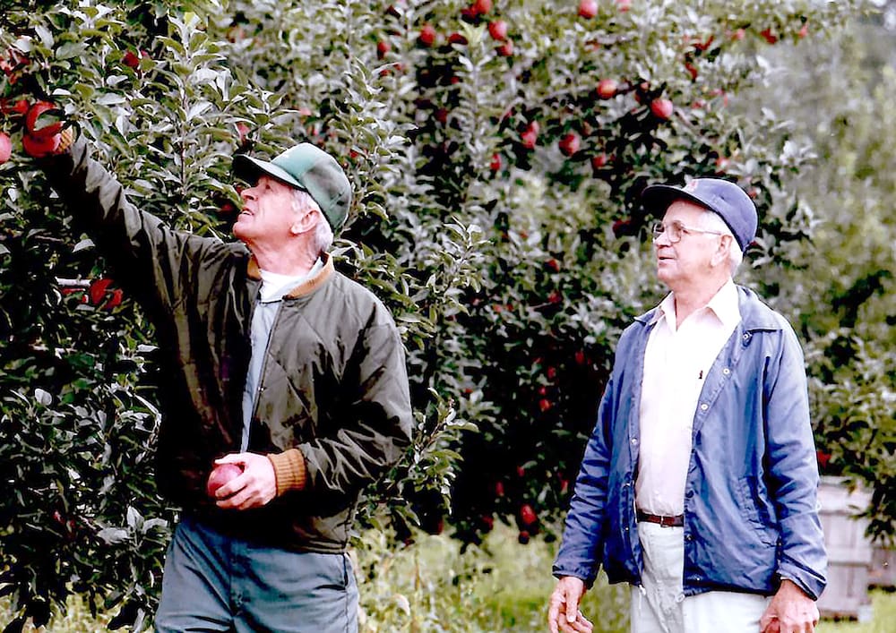 Two persons in outdoor clothing stand in an orchard, one reaching for an apple on a tree, surrounded by lush greenery.