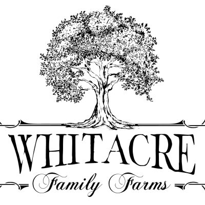 Intricate illustration of a large tree above the text "Whitacre Family Farms," with decorative scrolls on sides, in a vintage style.